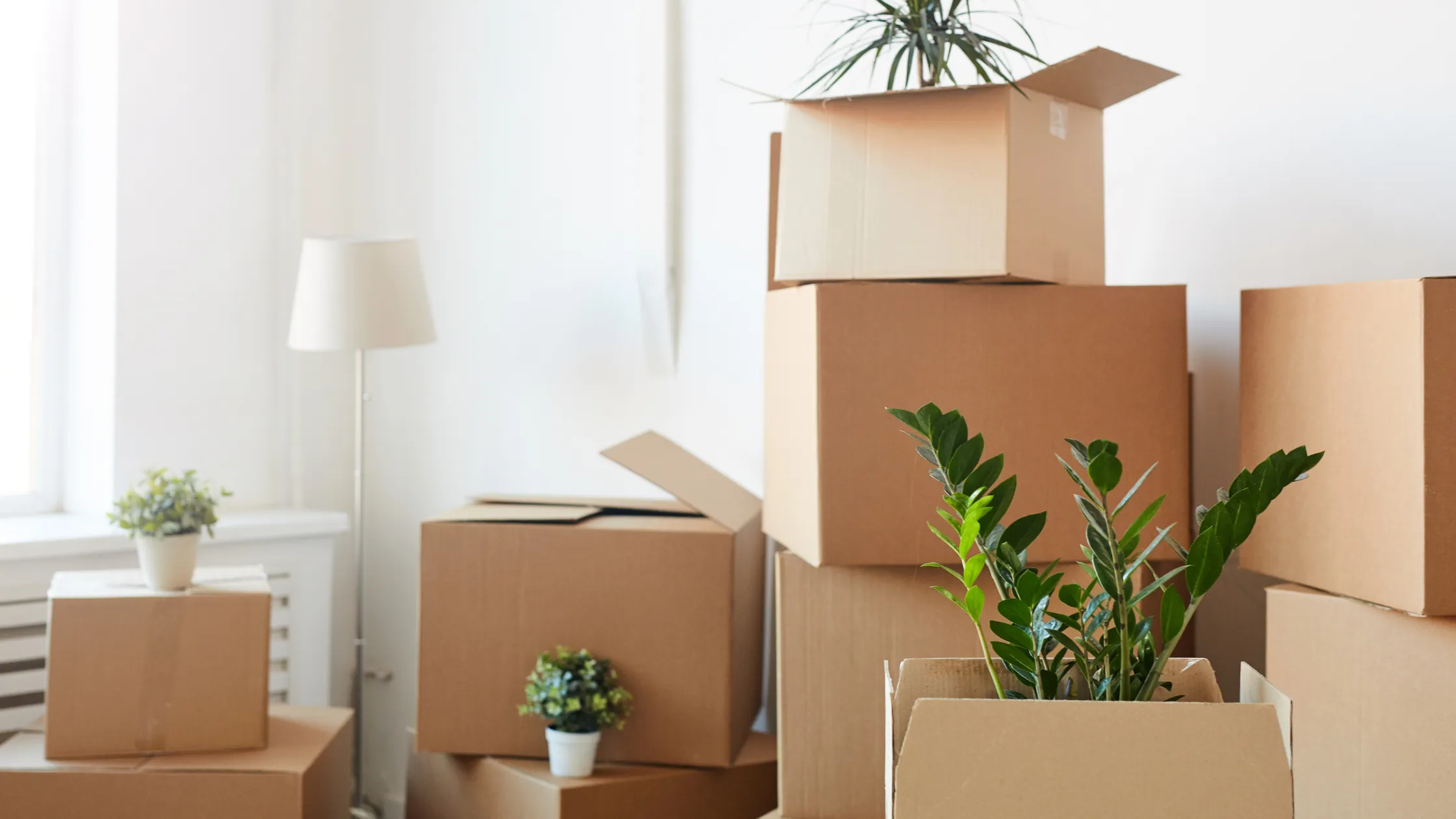 Traslado de muebles y mercancía de Saltillo a Cdmx